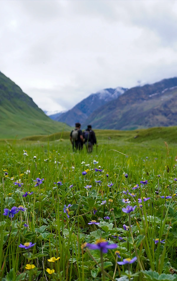 Bali Pass Trek